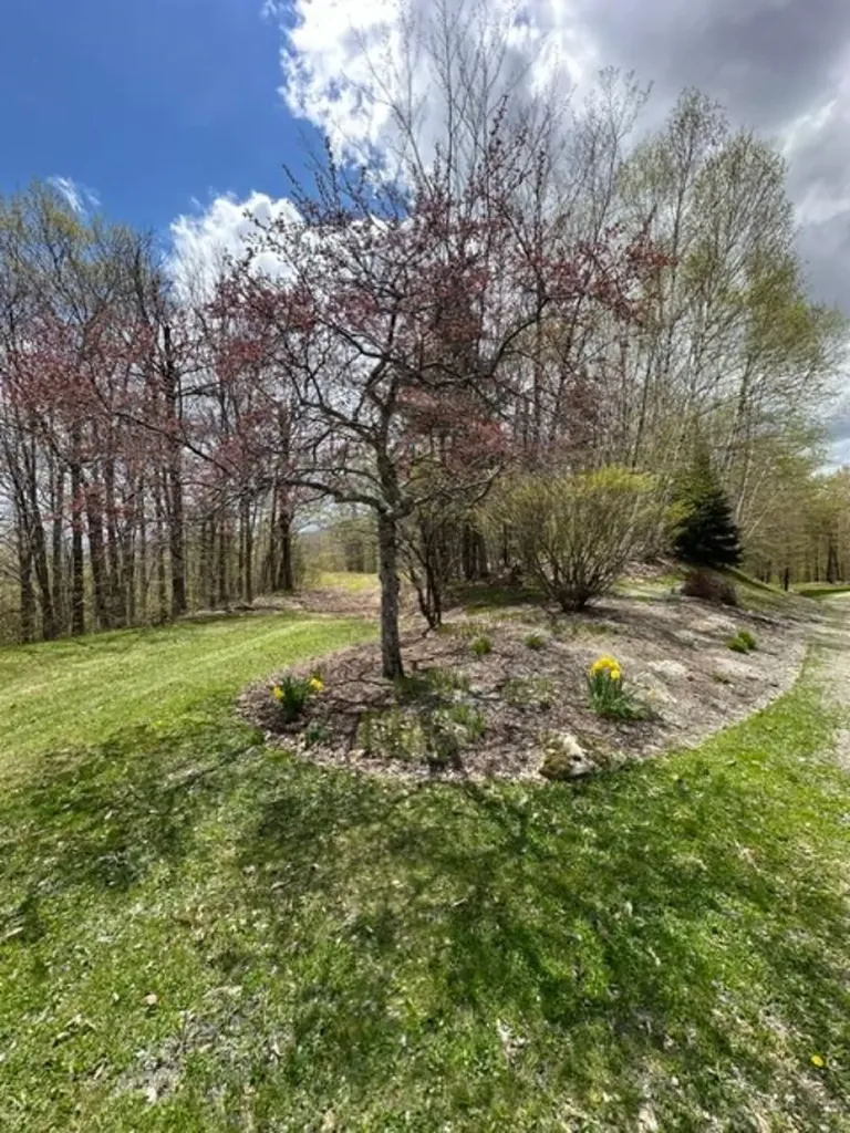 00 Robinson Springs Road Stowe VT 05672