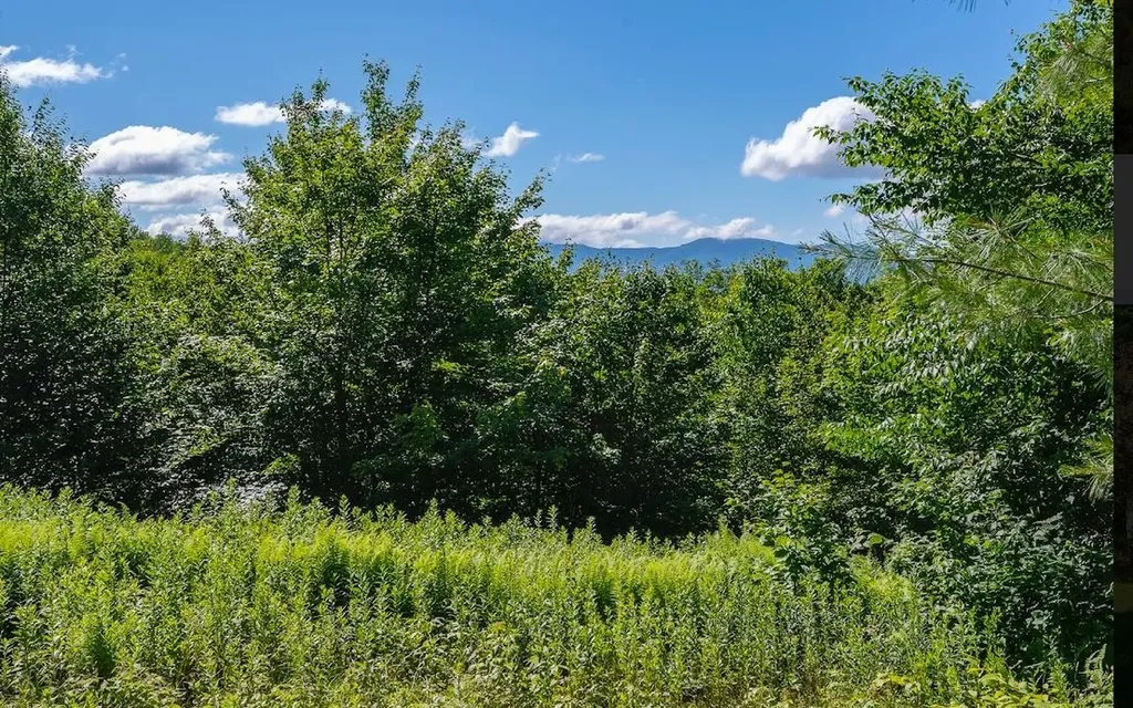 00 Robinson Springs Road Stowe VT 05672