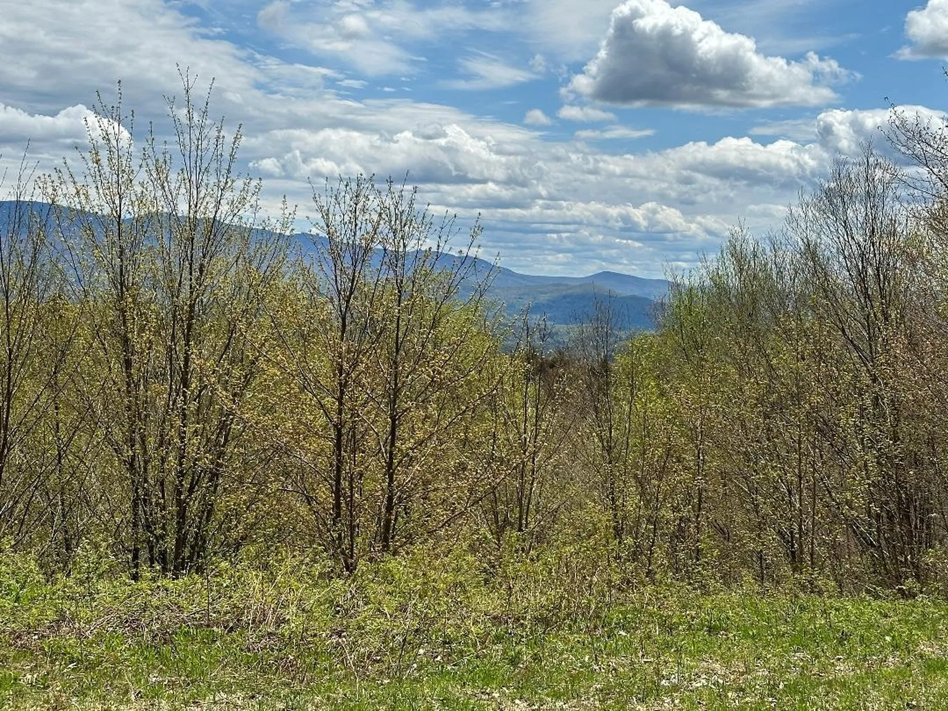 00 Robinson Springs Road Stowe VT 05672