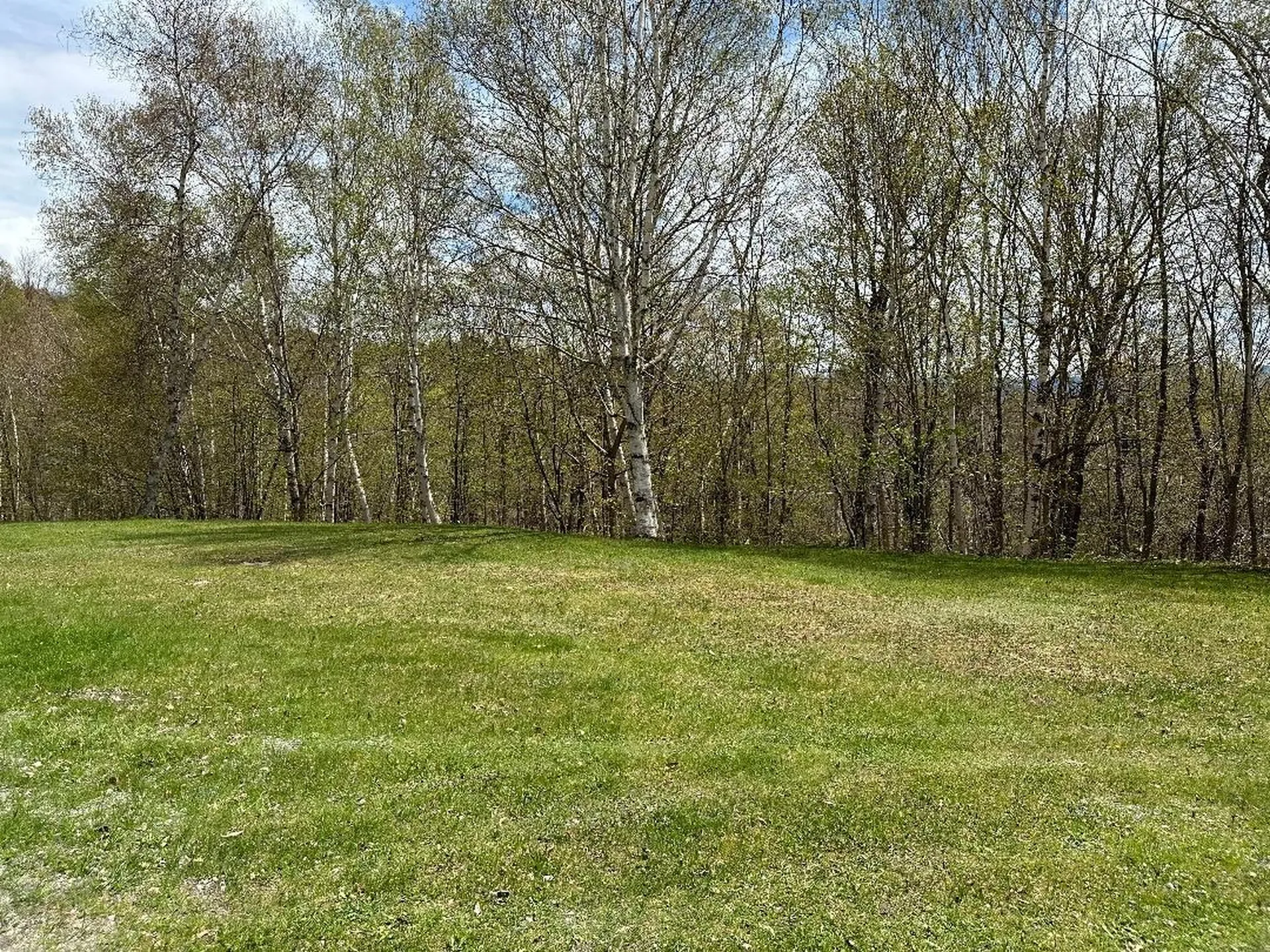 00 Robinson Springs Road Stowe VT 05672