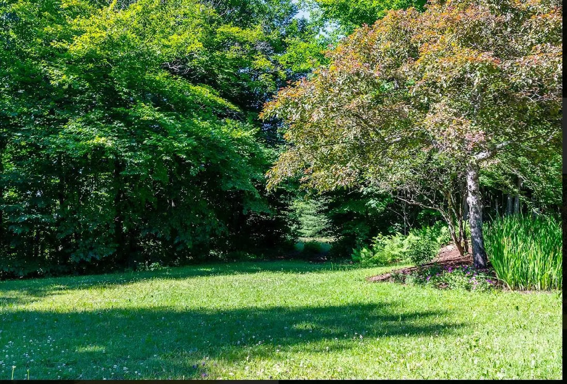 00 Robinson Springs Road Stowe VT 05672