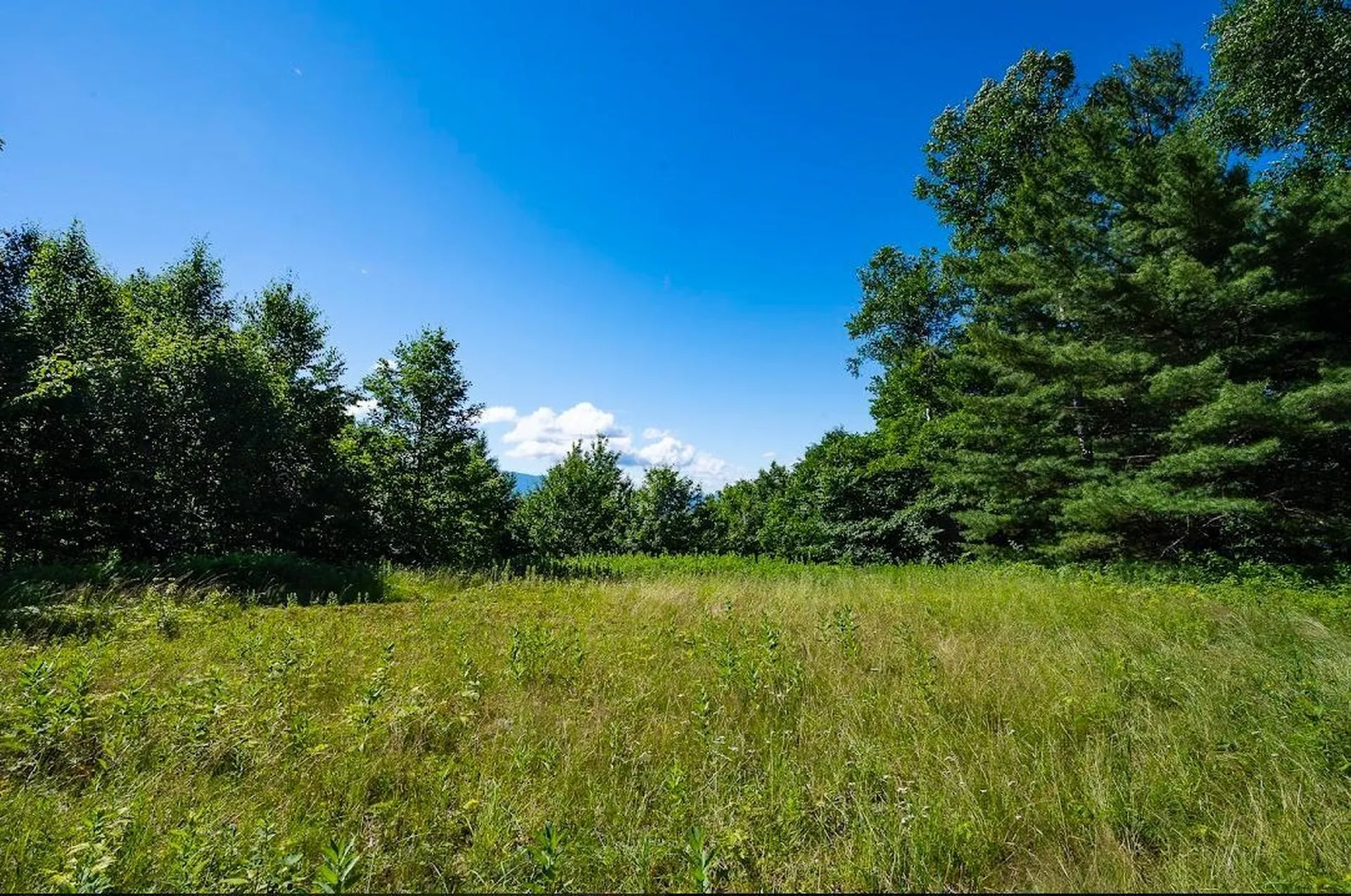 00 Robinson Springs Road Stowe VT 05672