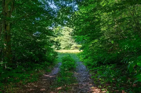 00 Robinson Springs Road Stowe VT 05672