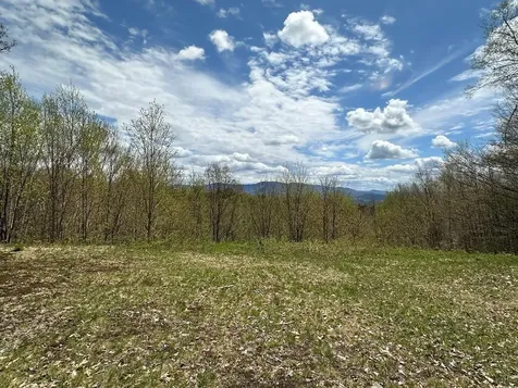 00 Robinson Springs Road Stowe VT 05672