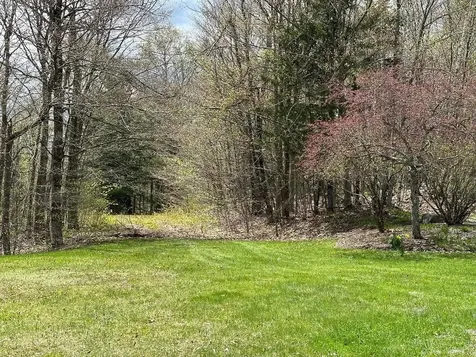 00 Robinson Springs Road Stowe VT 05672