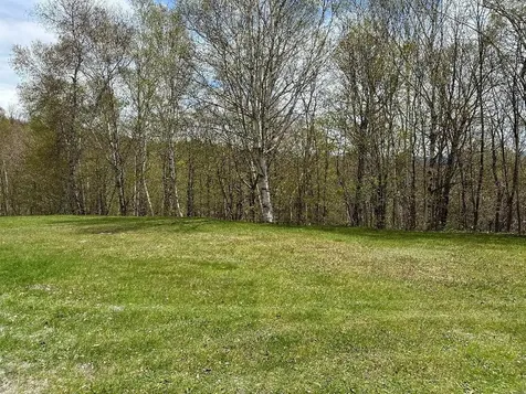 00 Robinson Springs Road Stowe VT 05672