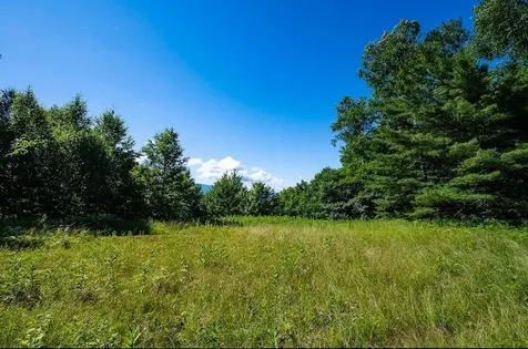 00 Robinson Springs Road Stowe VT 05672