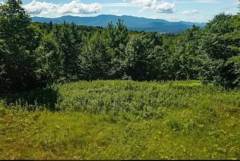 00 Robinson Springs Road Stowe VT 05672