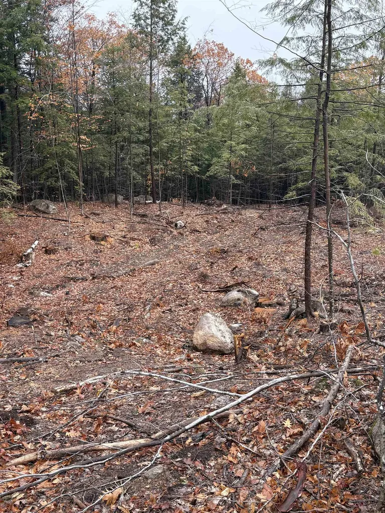 7 Sugarloaf Drive Ossipee NH 03814