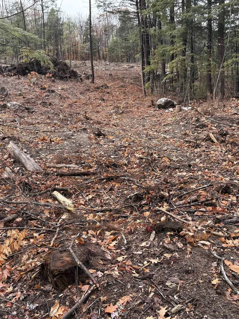 7 Sugarloaf Drive Ossipee NH 03814