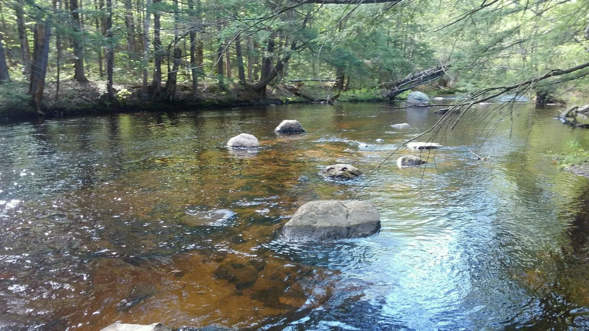 28 Beech River Circle Ossipee NH 03814