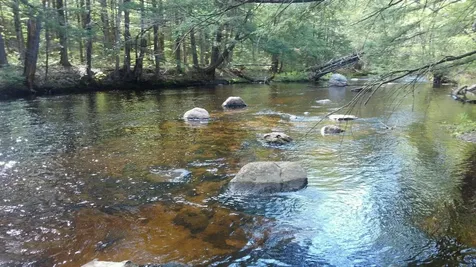 28 Beech River Circle Ossipee NH 03814