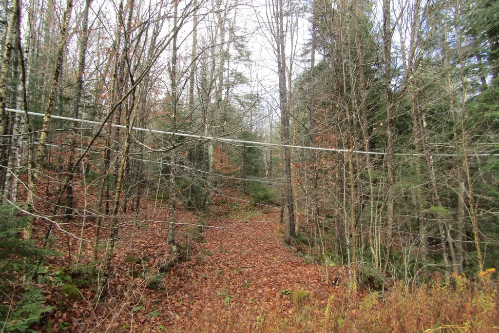 105 Honey Corners Road Topsham VT 05076