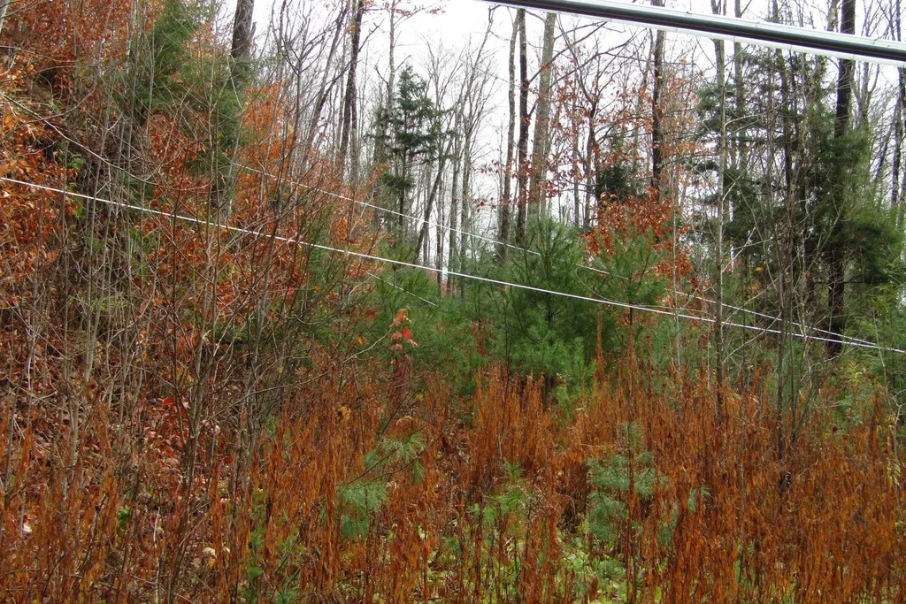 105 Honey Corners Road Topsham VT 05076