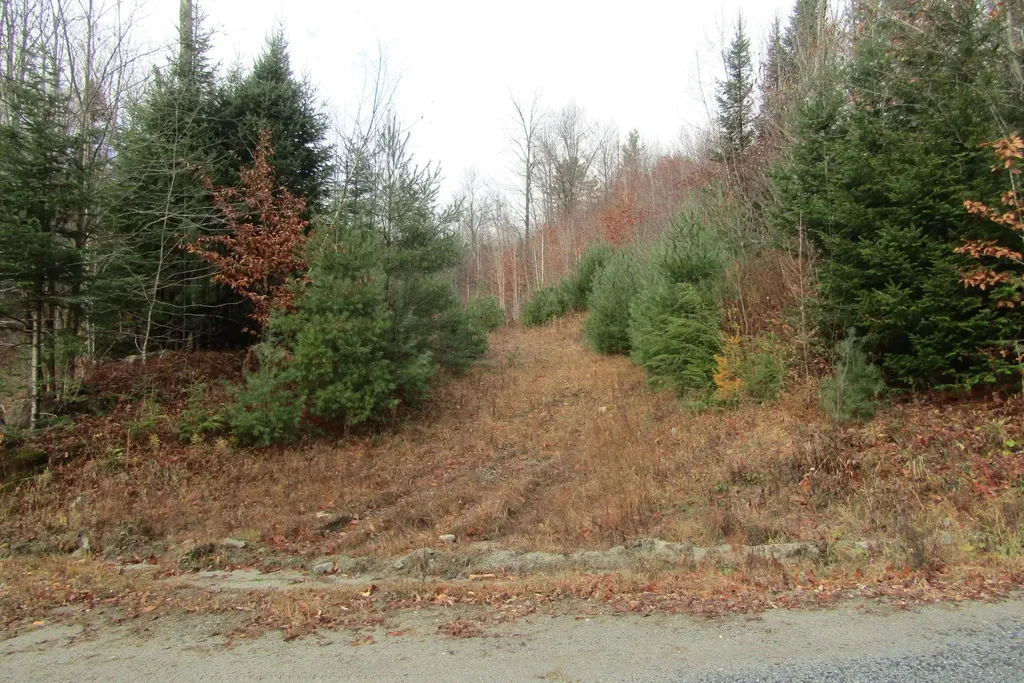 105 Honey Corners Road Topsham VT 05076