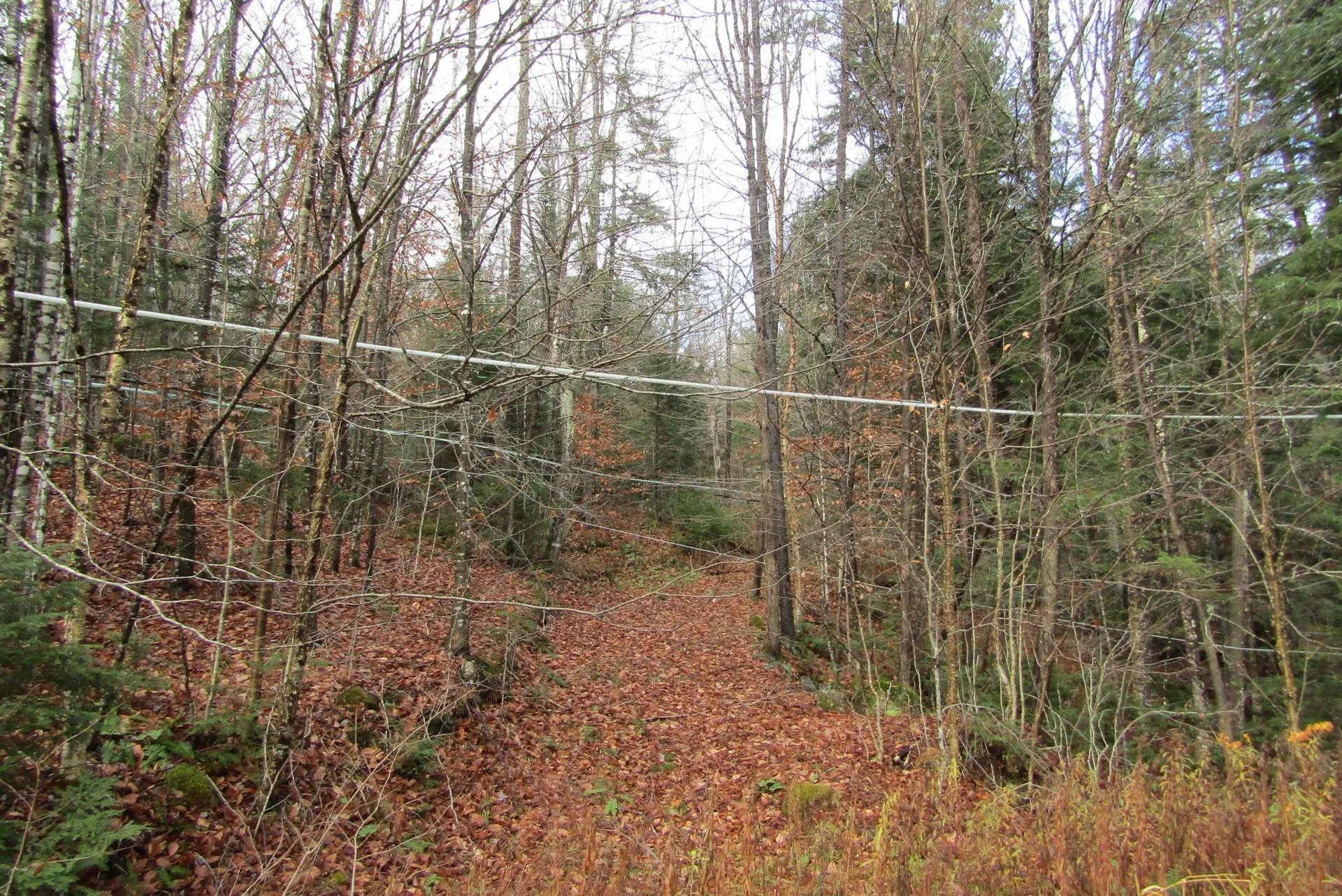 105 Honey Corners Road Topsham VT 05076