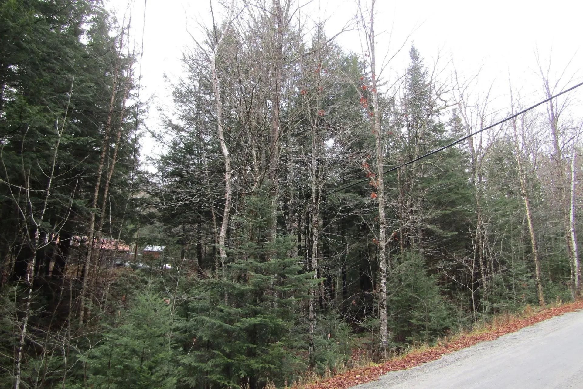 105 Honey Corners Road Topsham VT 05076