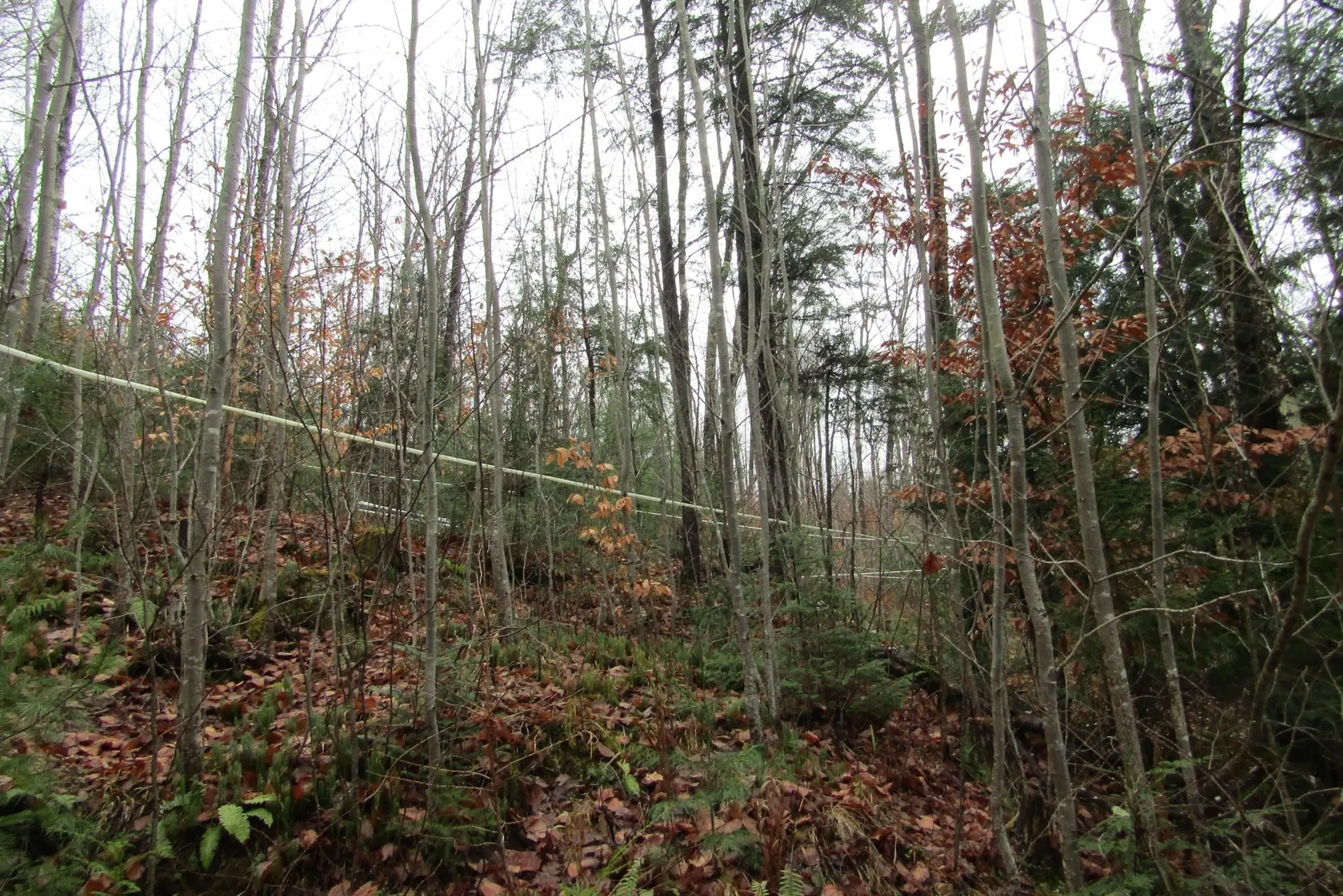 105 Honey Corners Road Topsham VT 05076