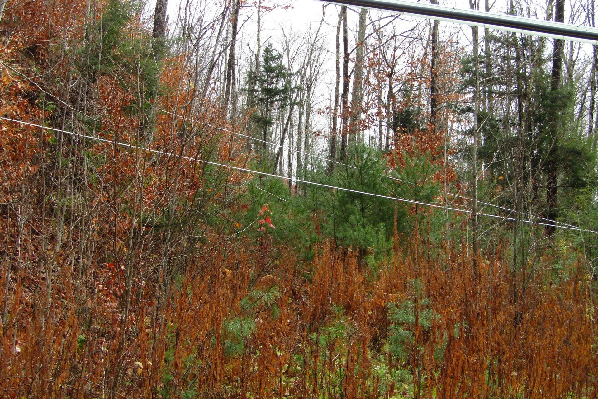 105 Honey Corners Road Topsham VT 05076