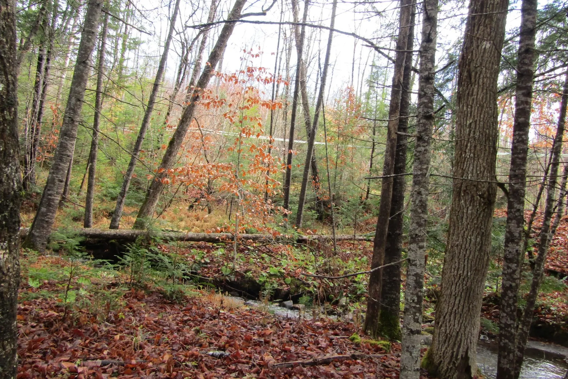 105 Honey Corners Road Topsham VT 05076