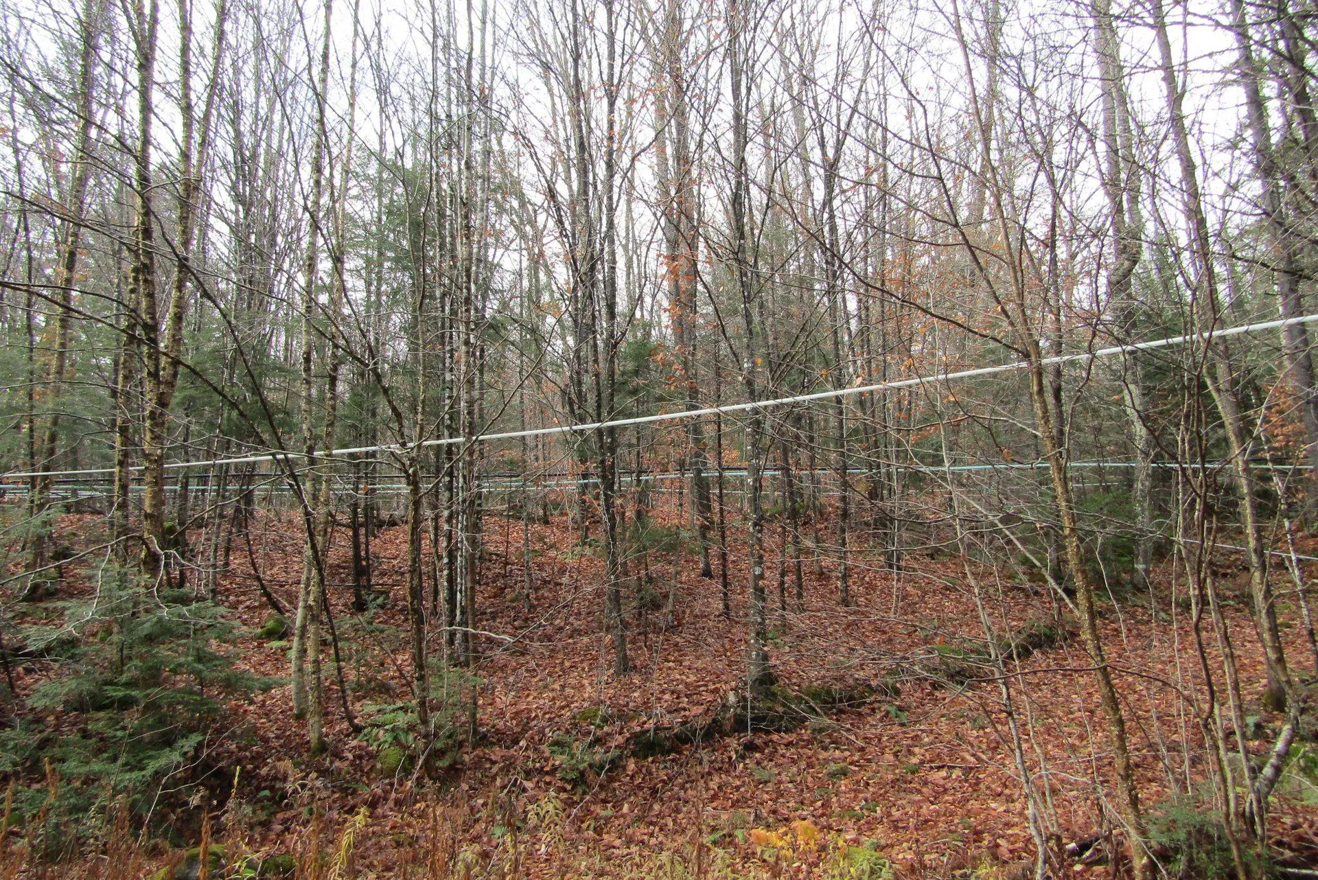 105 Honey Corners Road Topsham VT 05076