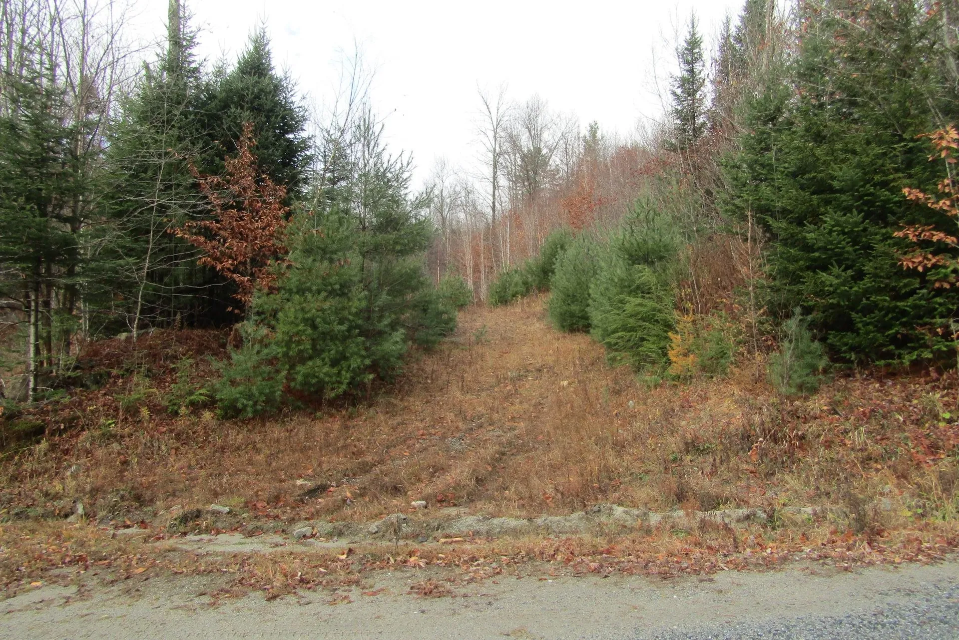 105 Honey Corners Road Topsham VT 05076