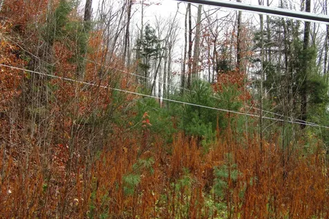 105 Honey Corners Road Topsham VT 05076