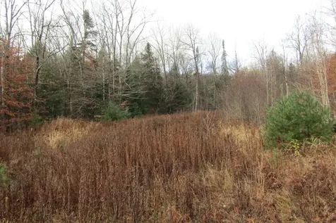 105 Honey Corners Road Topsham VT 05076