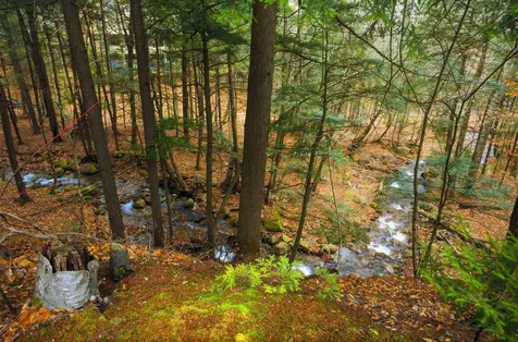 21 Osseo Circle Lincoln NH 03251