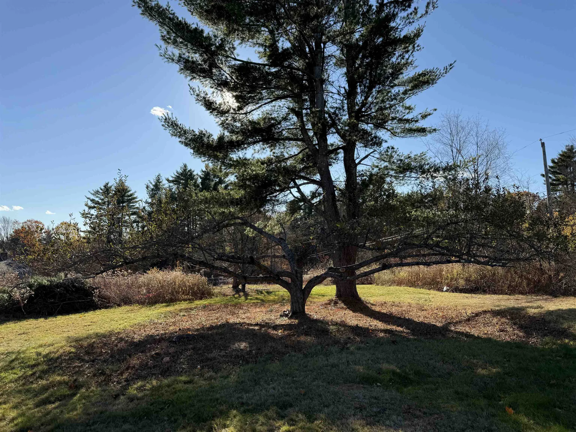 144 Putnam Hill Road Lyndeborough NH 03082