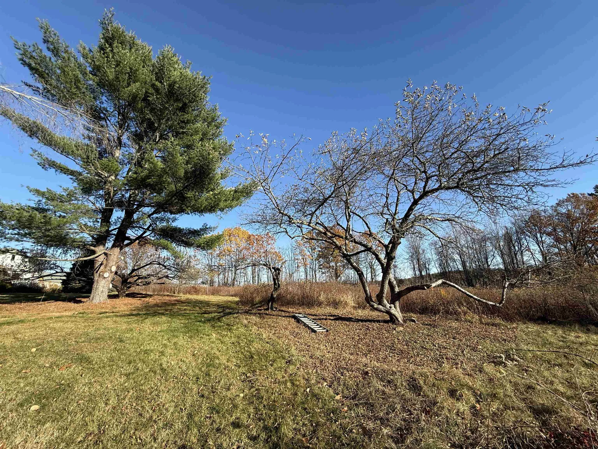 144 Putnam Hill Road Lyndeborough NH 03082