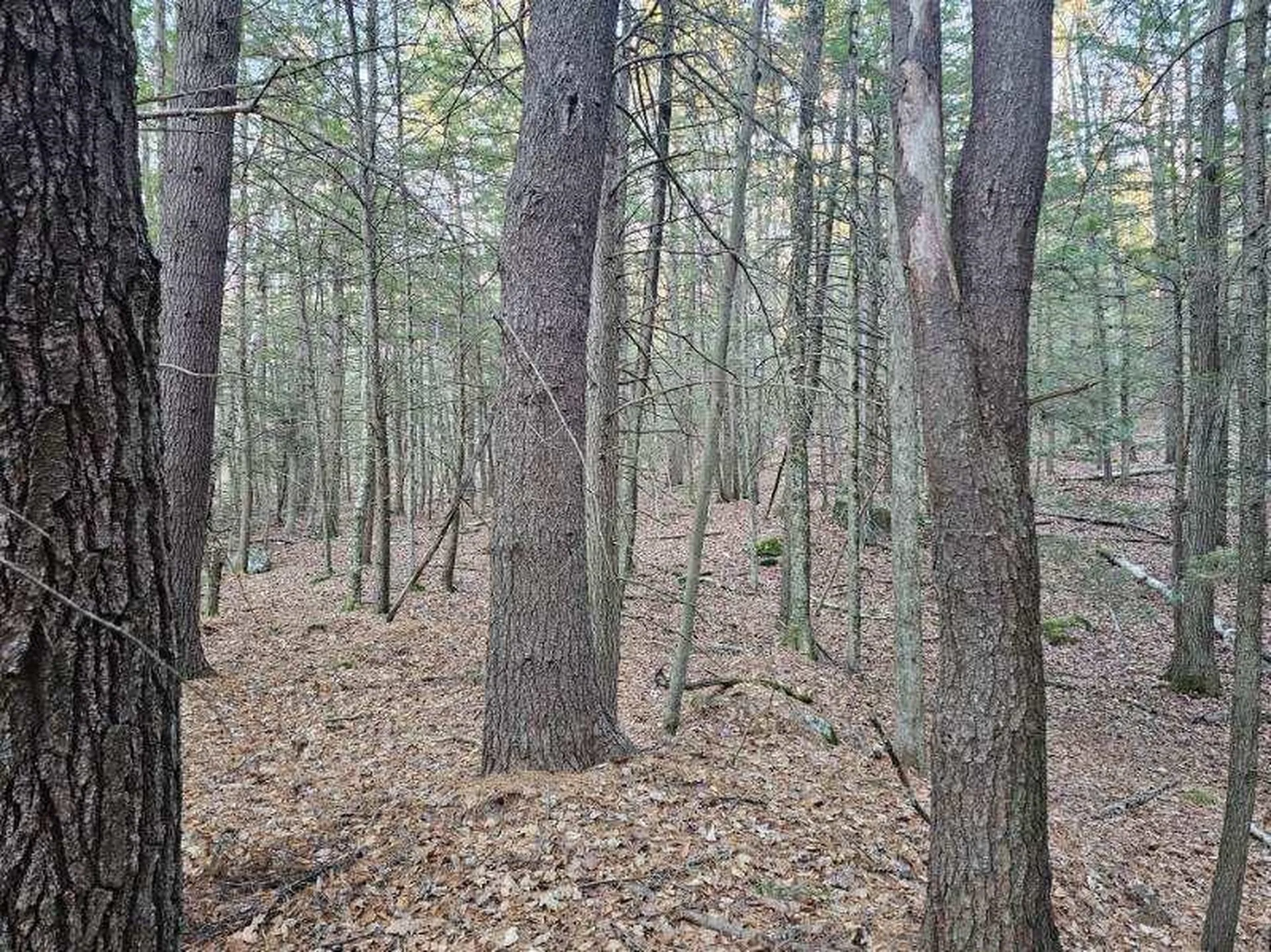 0 Old Tipping Rock Road Winchester NH 03470