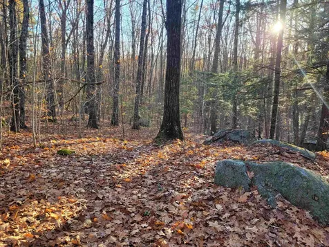 0 Old Tipping Rock Road Winchester NH 03470