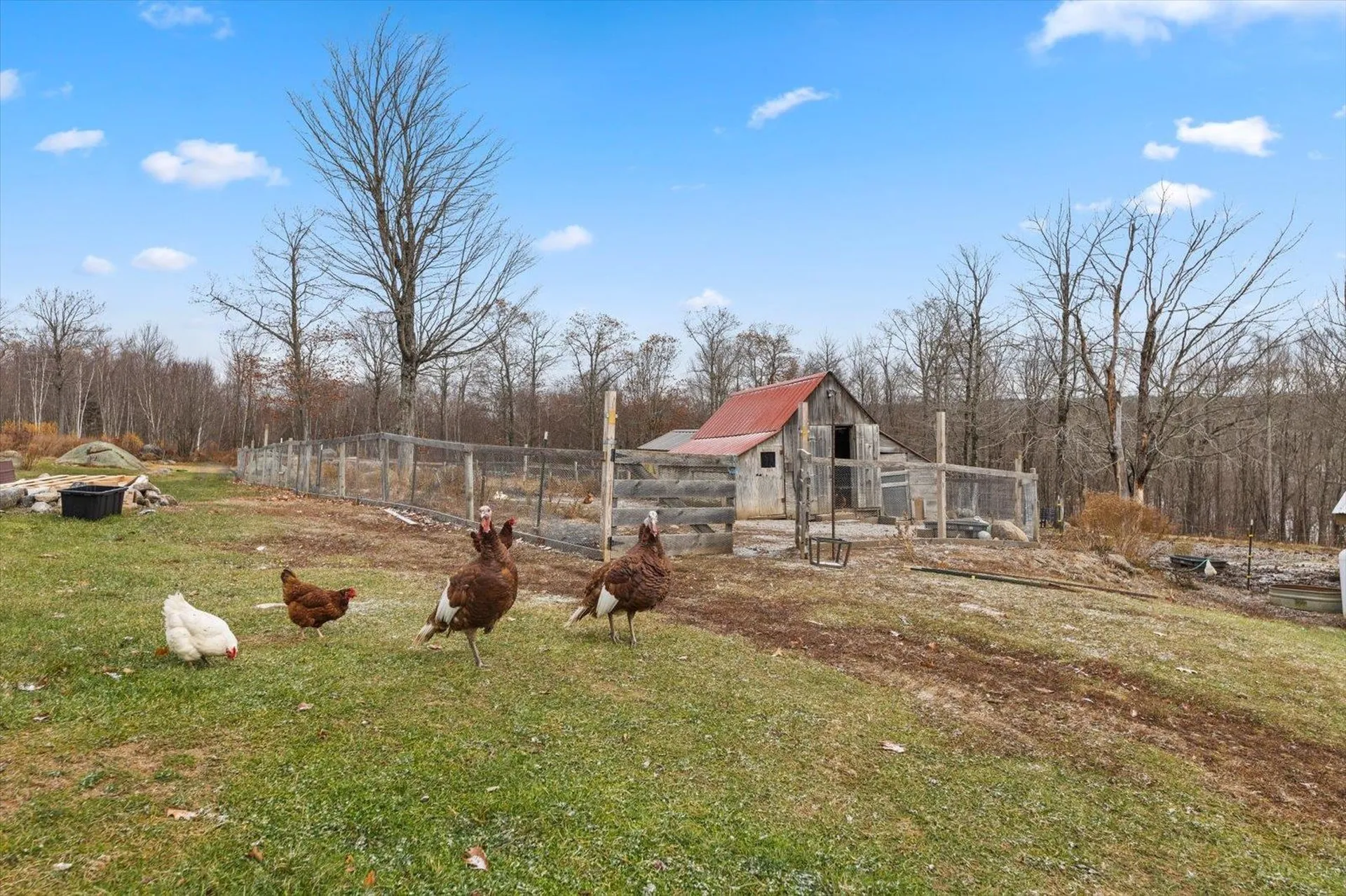 67 Lang Road Washington NH 03280