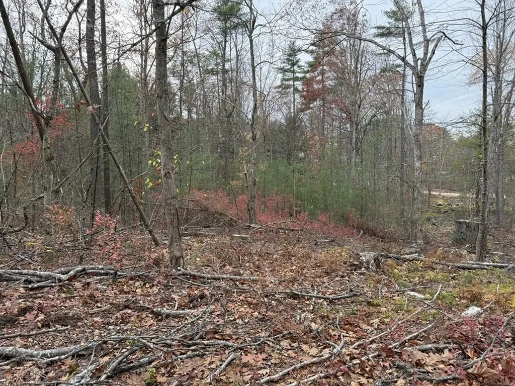 207-002 Washington Street Barrington NH 03825