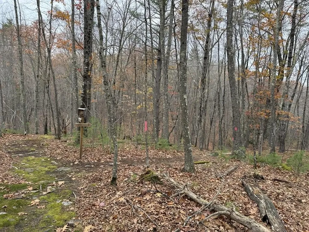 207-002 Washington Street Barrington NH 03825