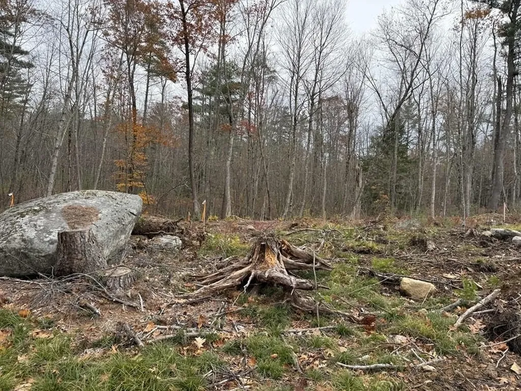 207-002 Washington Street Barrington NH 03825