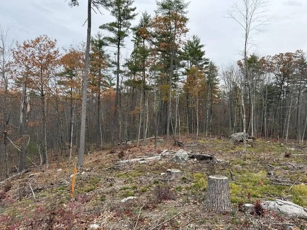 207-002 Washington Street Barrington NH 03825