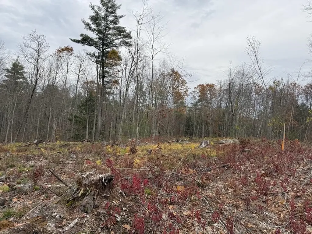 207-002 Washington Street Barrington NH 03825