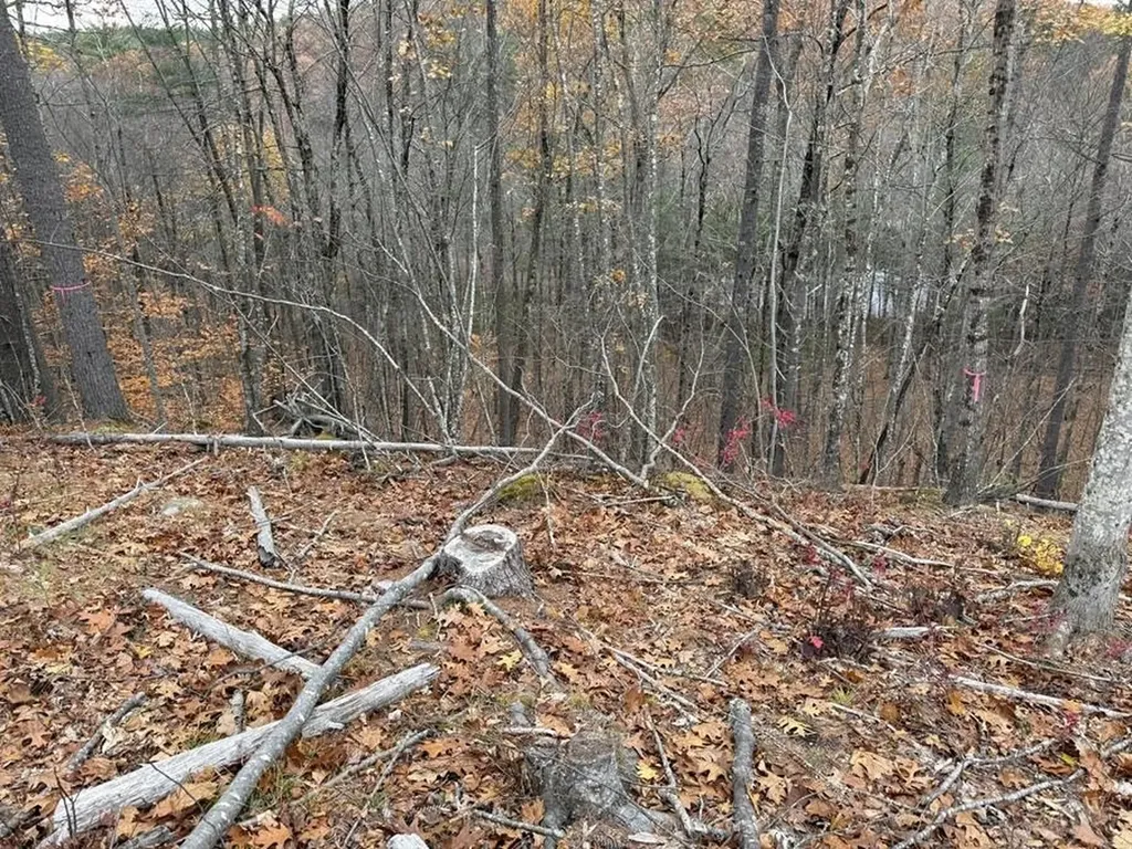 207-002 Washington Street Barrington NH 03825