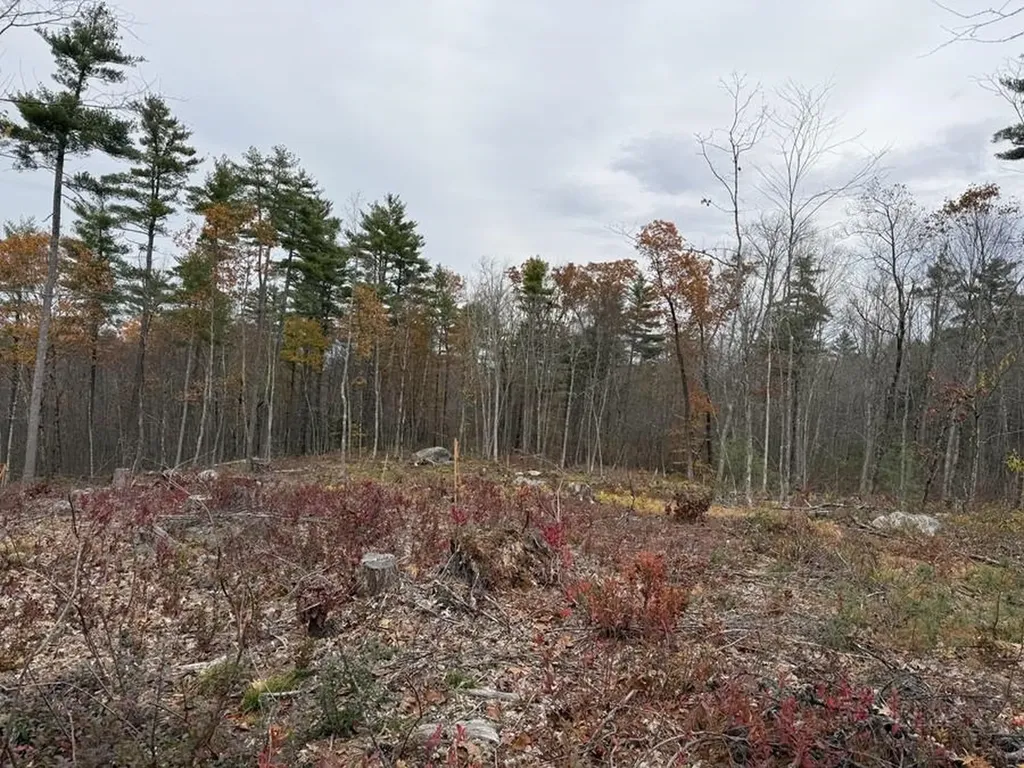 207-002 Washington Street Barrington NH 03825