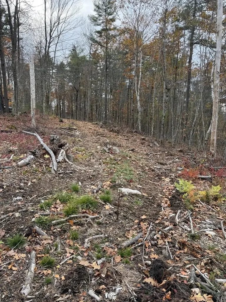 207-002 Washington Street Barrington NH 03825