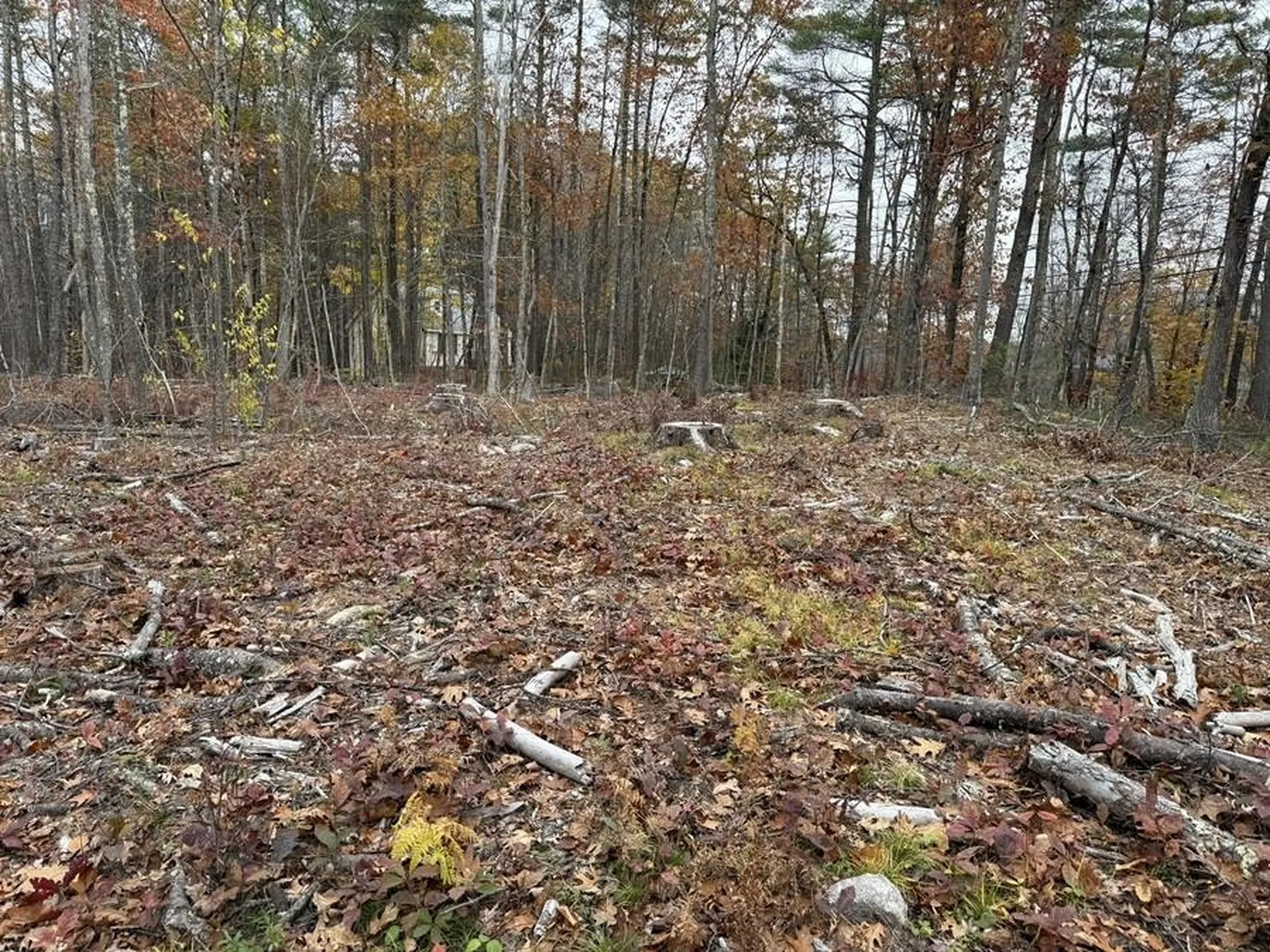 207-002 Washington Street Barrington NH 03825