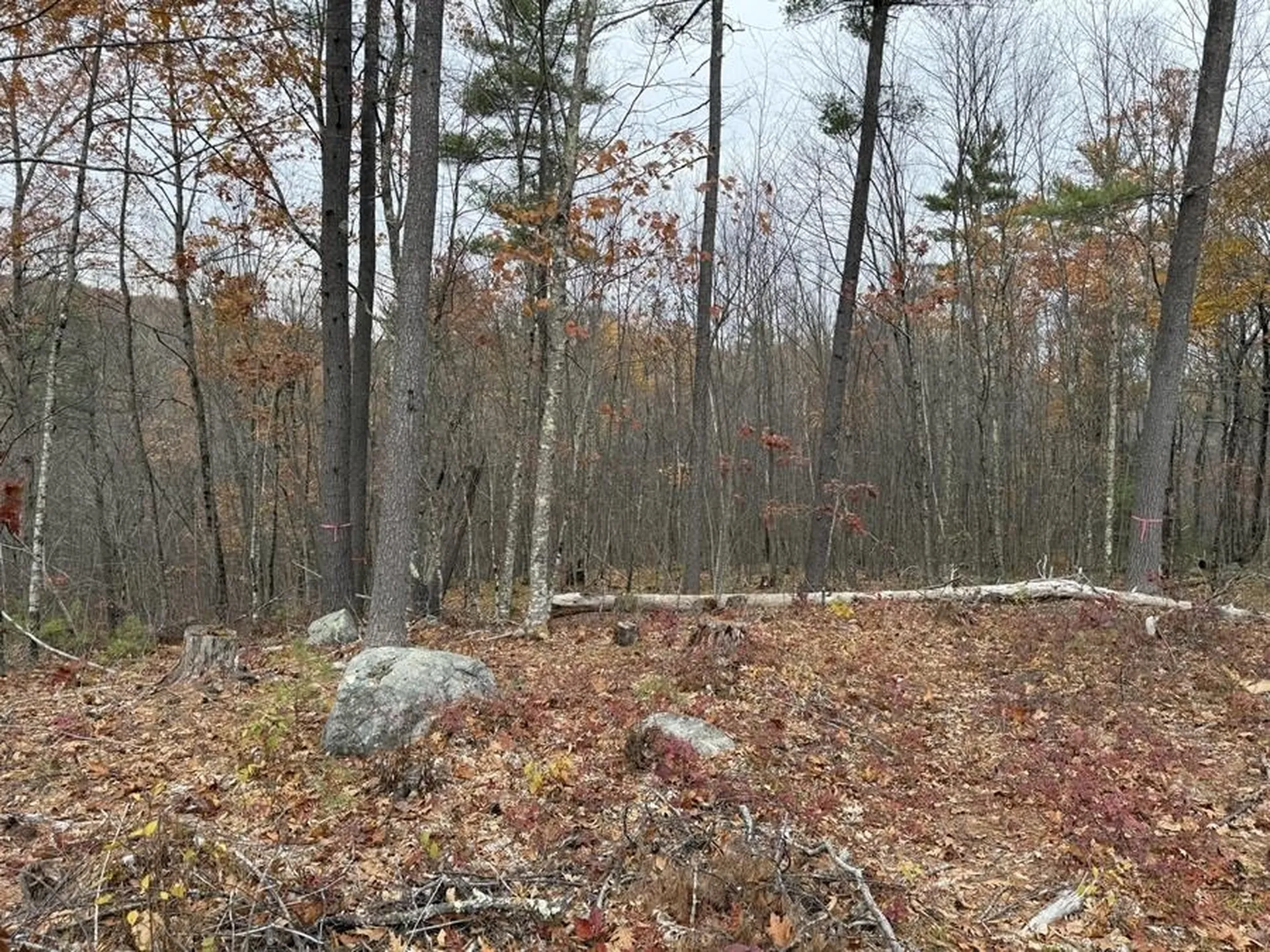 207-002 Washington Street Barrington NH 03825