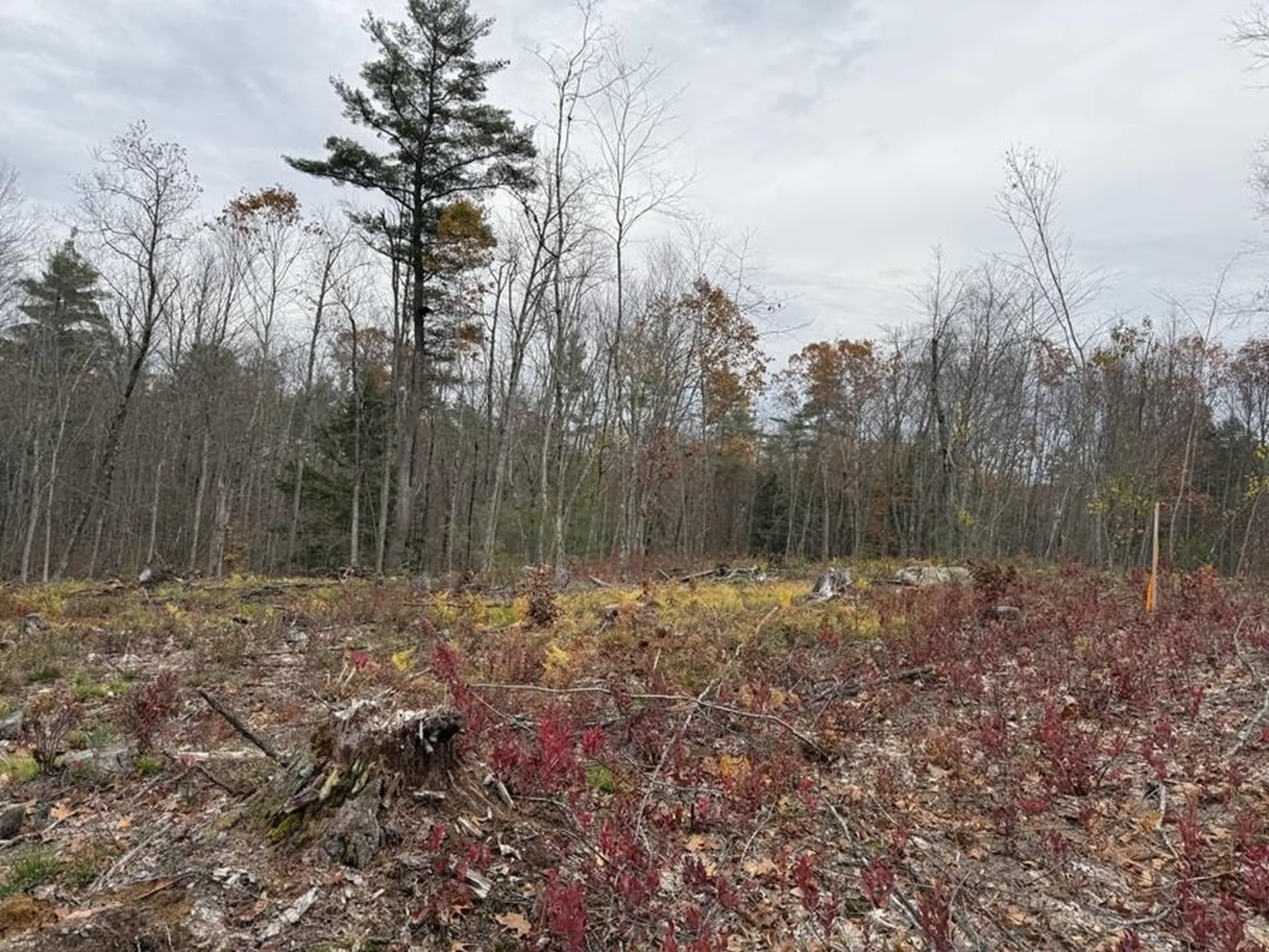 207-002 Washington Street Barrington NH 03825