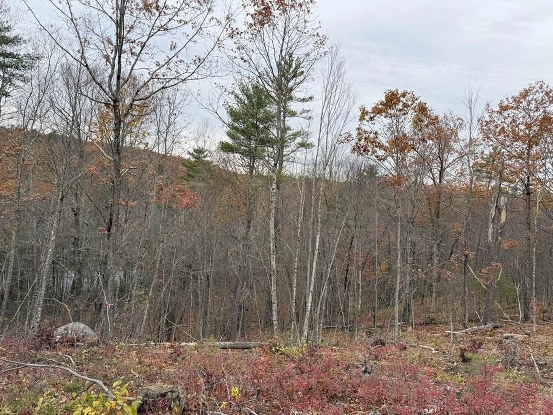 207-002 Washington Street Barrington NH 03825