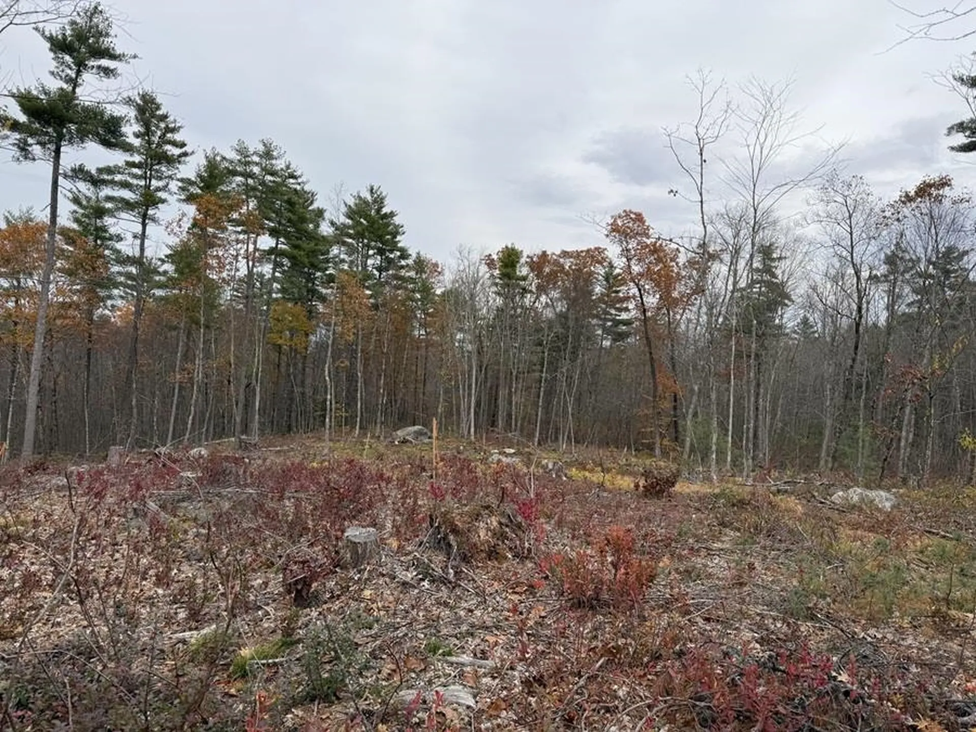 207-002 Washington Street Barrington NH 03825