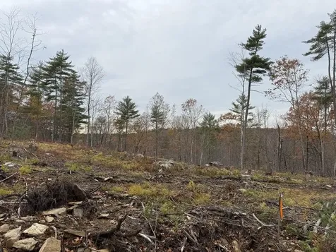 207-002 Washington Street Barrington NH 03825