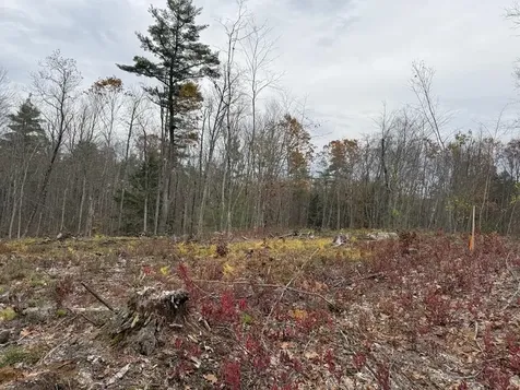 207-002 Washington Street Barrington NH 03825