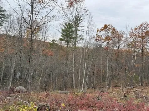 207-002 Washington Street Barrington NH 03825